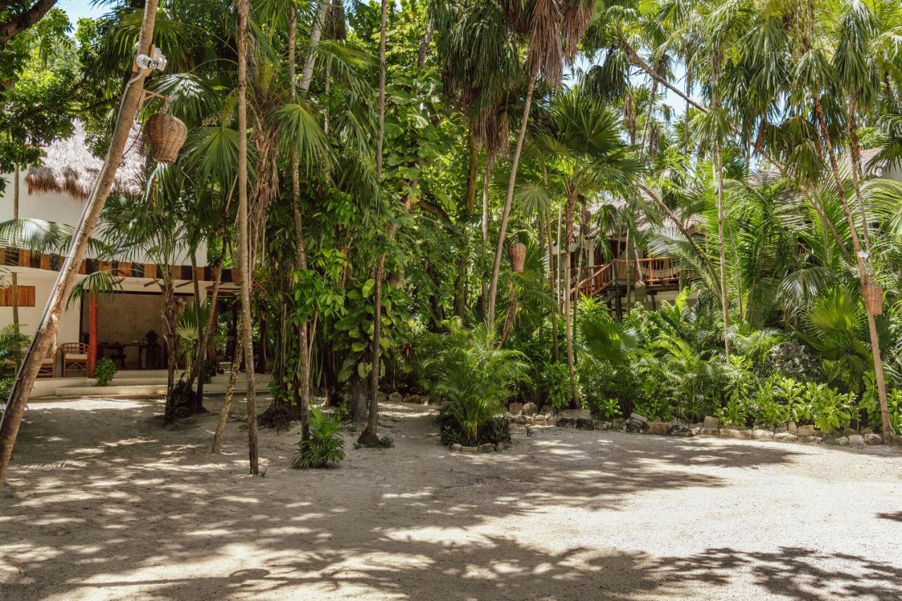 Dos Ceibas Tulum - Massage & Yoga Inclusive Hotel Ngoại thất bức ảnh