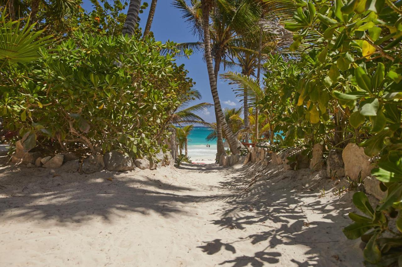 Dos Ceibas Tulum - Massage & Yoga Inclusive Hotel Ngoại thất bức ảnh