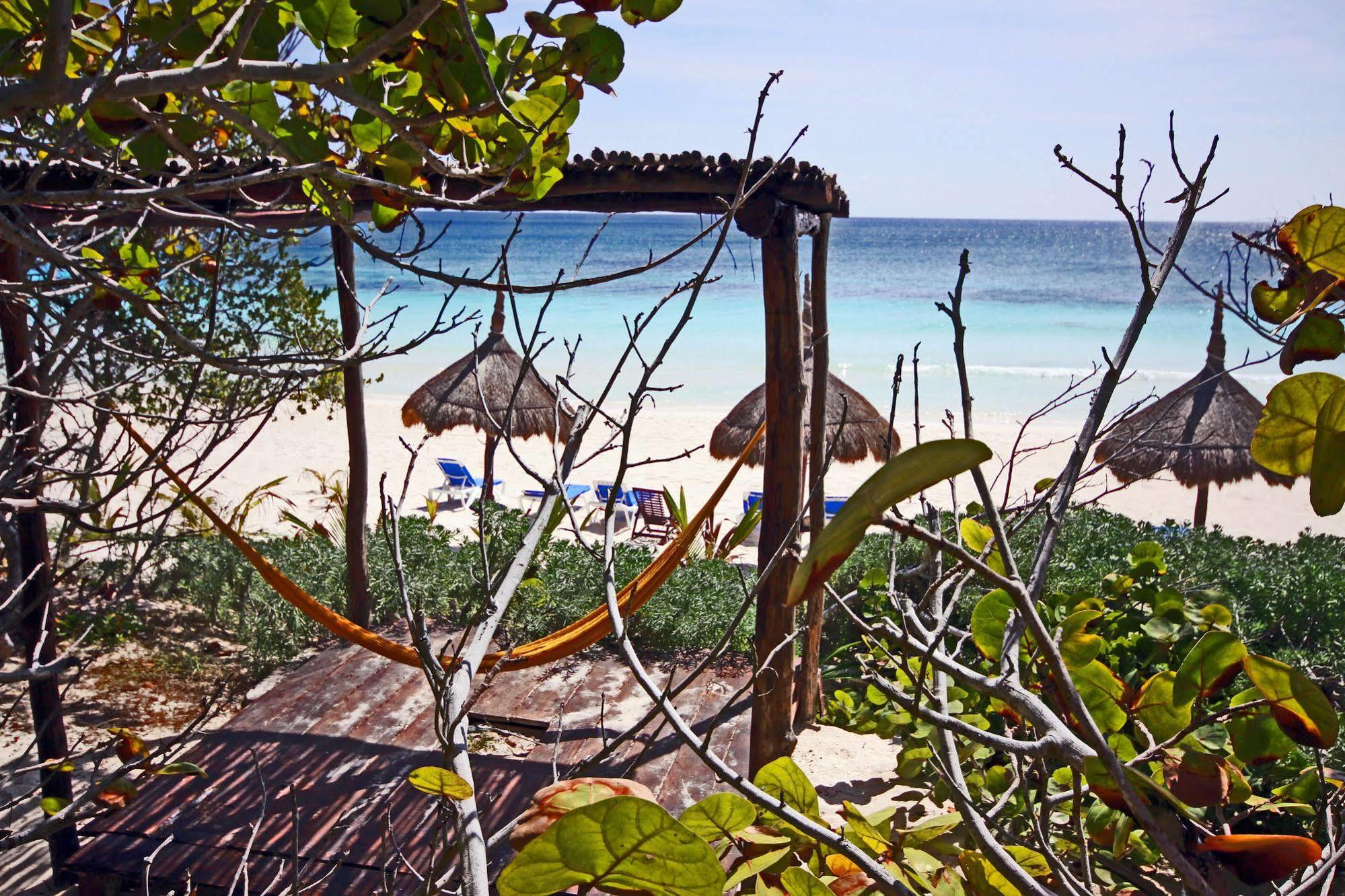 Dos Ceibas Tulum - Massage & Yoga Inclusive Hotel Ngoại thất bức ảnh